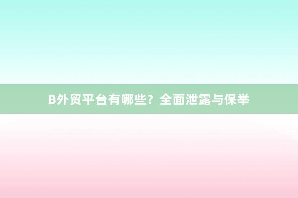 B外贸平台有哪些？全面泄露与保举